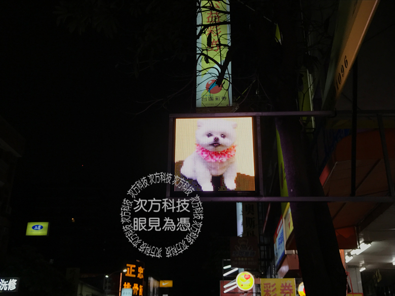 LED字幕機 台中南屯 周佳寵物