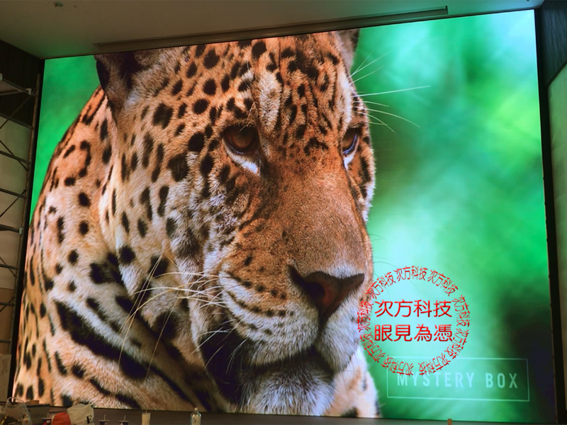 LED電視牆 南投 日月潭飯店 P3