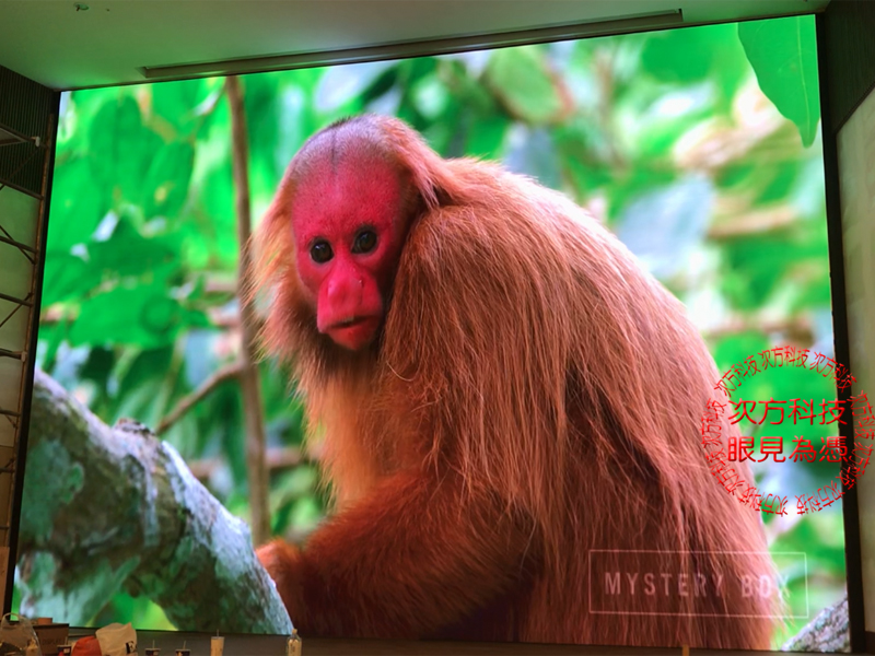 LED電視牆 南投 日月潭飯店 P3