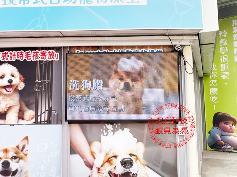 LED電視牆 寶貝堡寵物 P5